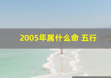 2005年属什么命 五行